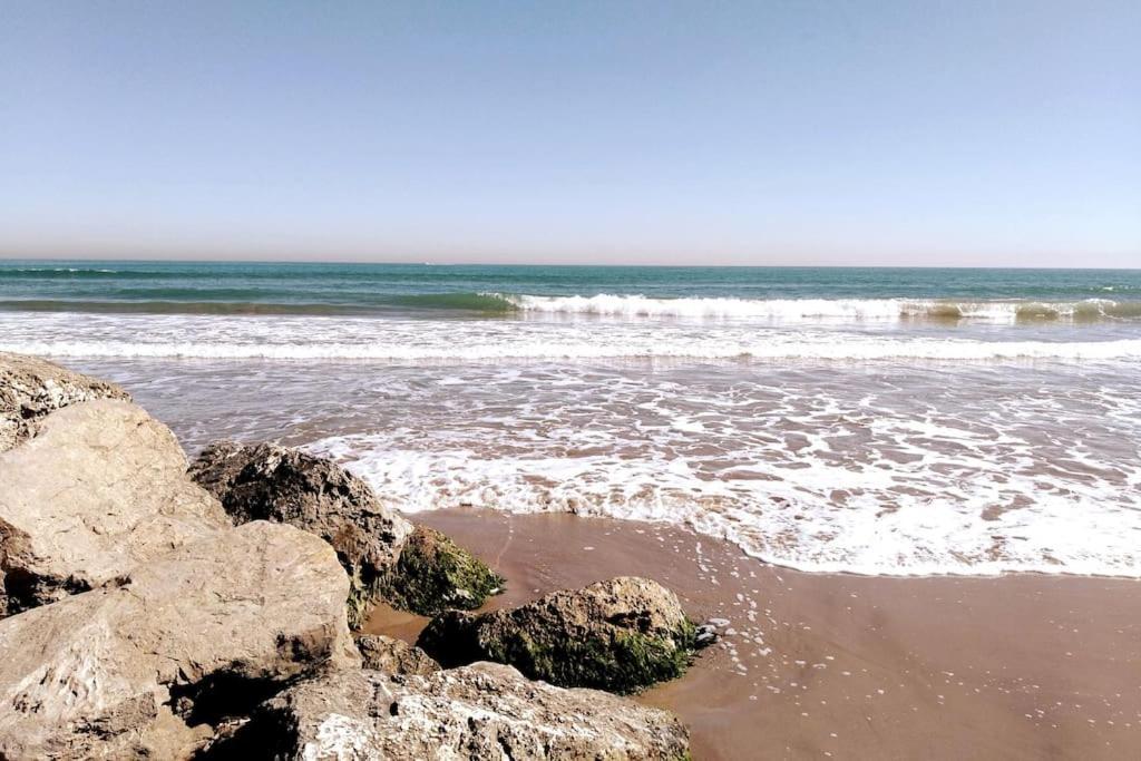 Alojamiento Junto Al Oceanografic فالنسيا المظهر الخارجي الصورة